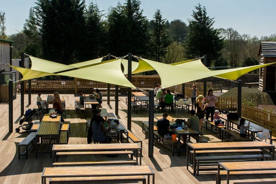 Canopy we designed for Chobham Adventure Farm