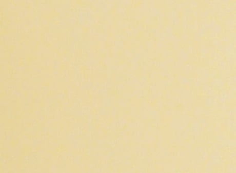 Champagne Colour Swatch Champagne Colour Swatch