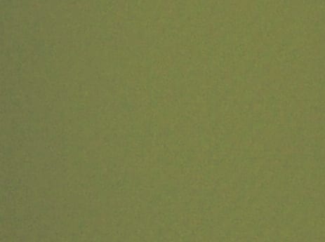 Moss Green Colour Swatch Moss Green Colour Swatch