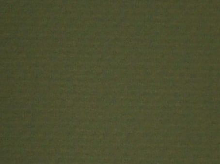Olive Colour Swatch Olive Colour Swatch