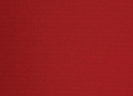 Poppy Colour Swatch Poppy Colour Swatch
