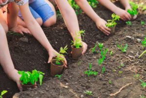 eyfs planting pots in Spring eyfs planting pots in Spring