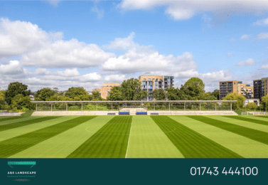 spectator canopy crystal palace fc training ground
