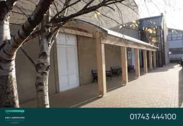 glulam timber canopies