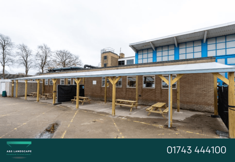 softwood timber shelter