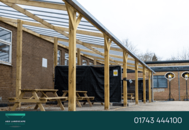 softwood timber structure