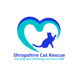 as landscape cat rescue donation as landscape cat rescue donation